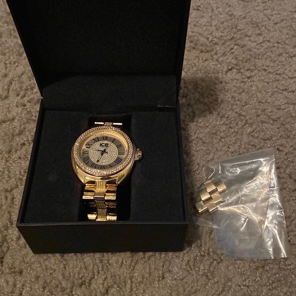 Ice Master Stainless Steel - Mens Watch
